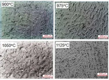 Figure 1. Optical micrographs of water quenched samples. 