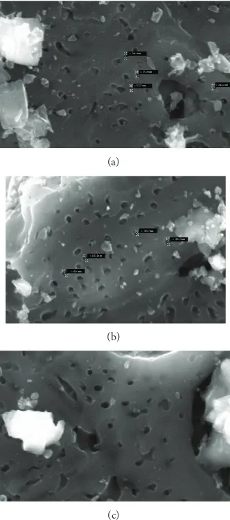 Figure 7: SEM photograph of oil-palm shell activated carbonprepared at (a) 500∘C, (b) 600∘C, and (c) 700∘C.