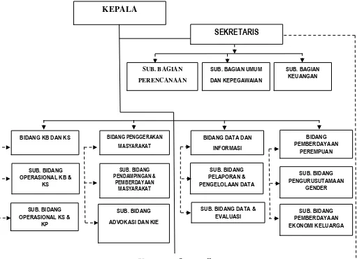 Gambar 3. Struktur Organisasi Kantor Badan Keluarga Berencana Dan Pemberdayaan Perempuan Kota Bandar Lampung 
