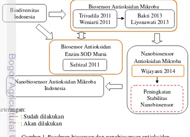 Gambar 1 Roadmap biosensor dan nanobiosensor antioksidan 