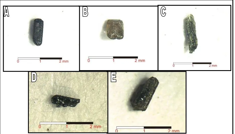 Gambar 6.  Mineral berat pada sampel Andisol yang berkembang dari hasil erupsi G. Patuha   A: hypersthene, B: biotit, C: diopside, D magnetit, E Diopsid
