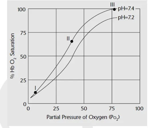 Gambar berikut ini merupakan kurva disosiasi hemoglobin-oksigen. Kurva menunjukkan hubungan antara jumlah oksigen yang terikat pada hemoglobin di dalam sel darah merah (% Hb O) dan jumlah oksigen pada jaringan di sekitarnya (tekanan parsial oksigen, Po)