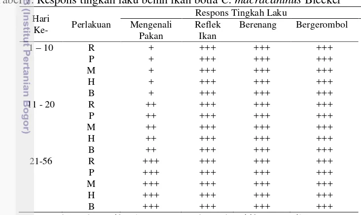 Tabel 7. Respons tingkah laku benih ikan botia C. macracanthus Bleeker 