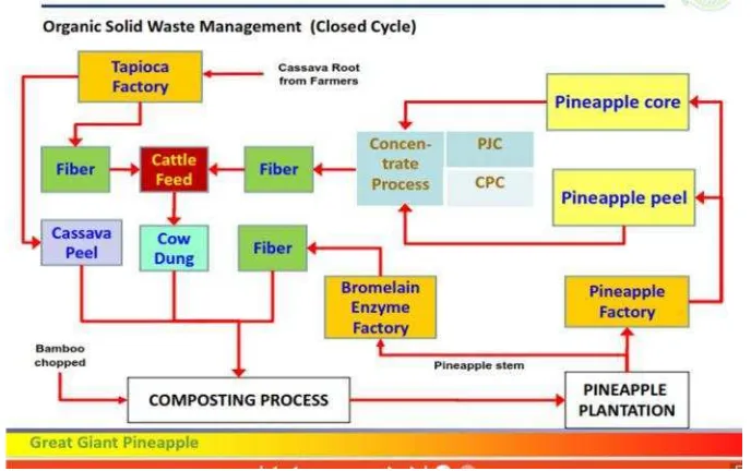 Gambar 2. Manejemen pengolahan limbah pada industri pengalengan nanas