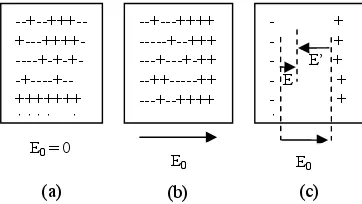 Gambar 2 Polarisasi muatan pada plat kapasitor (Halliday dan Resnick, 1997) 