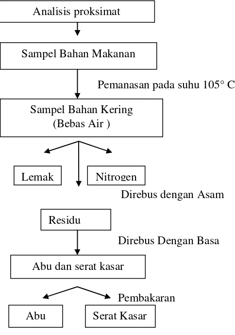 Gambar 2. Skema Analisis Proksimat Pakan Drop in Siamang (Hylobates 