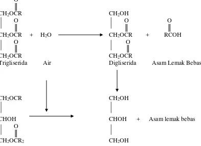 Gambar 2.3. Reaksi hidrolisis pada minyak goreng ( Ketaren, 2008 ) 