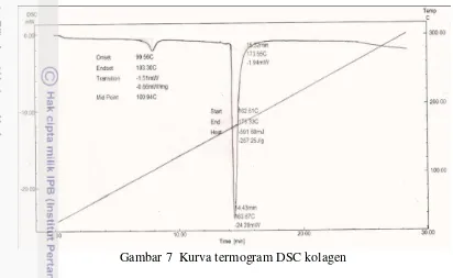 Gambar 7  Kurva termogram DSC kolagen 