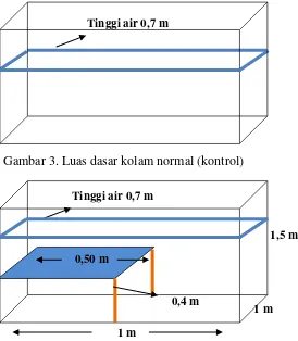 Gambar 3. Luas dasar kolam normal (kontrol) 