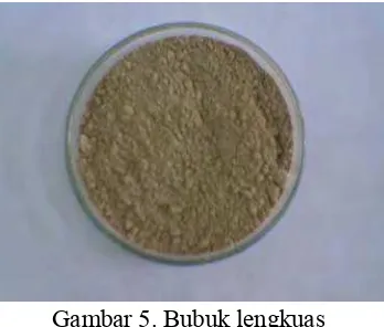 Gambar 5. Bubuk lengkuas 