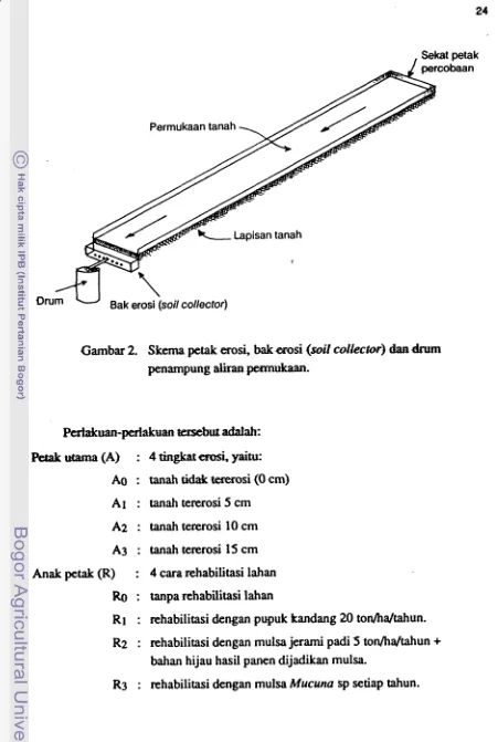 Gambar 2. Skema petak m s i ,  bak masi (soil collec~or) dstn 