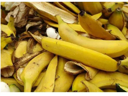 Gambar 4.  Kulit pisang 