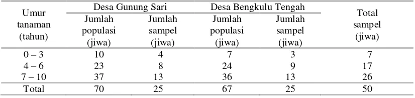 Tabel 7. Penentuan jumlah petani sampel berdasarkan umur tanaman Desa   Gunung Sari dan Desa Bengkulu Tengah 