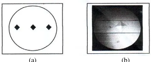 Gambar 17. (a) Skematik Letak Titik Jejasan Pada Sampel (b) Bentuk  
