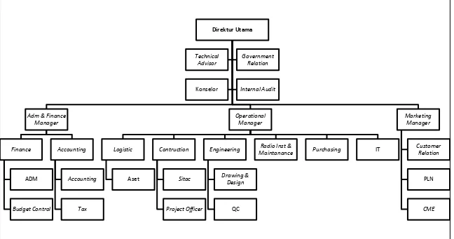 Gambar 2.1. Struktur Organisasi PT. Agung Pratama Jaya 