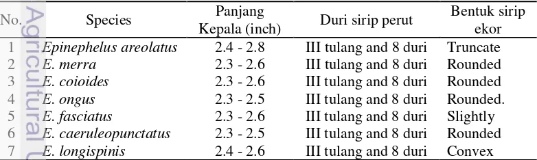 Tabel 3 Karakter morfologi utama dalam identifikasi ikan kerapu Epinephelus  