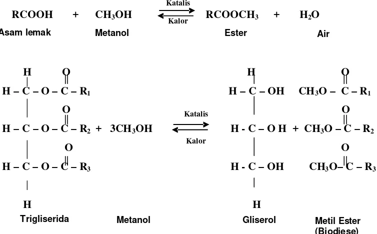 Gambar 10. Reaksi Esterifikasi dan Transesterifikasi