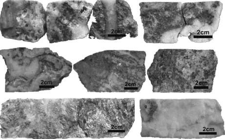 Fig. 6 Hand specimens of the Arinem vein from core samples. (a) chalcedony and crystalline quartz of substage IIIB cutvuggy quartz of substage IA/L425m; (b) crystalline quartz-sulﬁde of substage IB L-1-60 m; (c) banded quartz-sulﬁde ofsubstage IC/L440m; (d) banded sulﬁde-quartz of substage IIA/L440m; (e) banded sulﬁde-quartz associated with whiteclay minerals and pale brownish carbonate of substage IIA/L440m; (f) massive chalcopyrite, pyrite, sphalerite and galenaof substage IIC/L300m; (g) massive barren milky quartz of substage IIIA/L300m.
