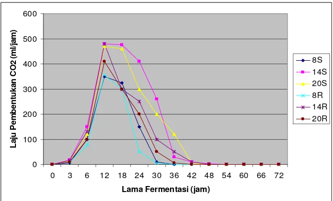 Gambar 7. Pola pembentukan CO2 selama fermentasi 