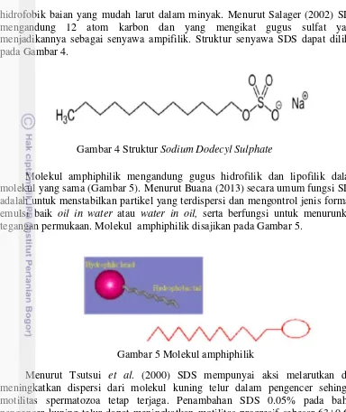 Gambar 4 Struktur Sodium Dodecyl Sulphate 