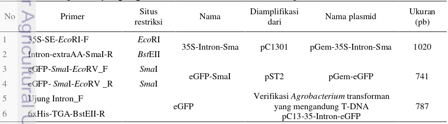 Tabel 1 Daftar primer yang digunakan dalam konstruksi vektor pC-35S-Intron-Sma 