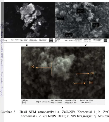 Gambar 5  Hasil SEM nanopartikel a. ZnO-NPs Komersial 1; b. ZnO-NPs 