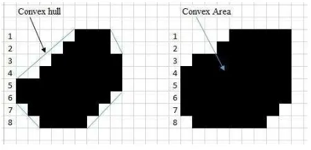 Gambar 12 Ilustrasi convex hull dan convex area 