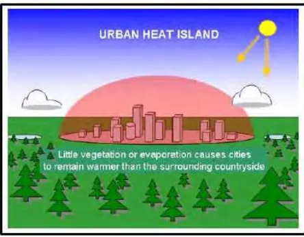 Gambar 10. Kubah pulau panas karena minimnya vegetasi di  permukaan lahan (Laras Tursilowati, 2007: 4)