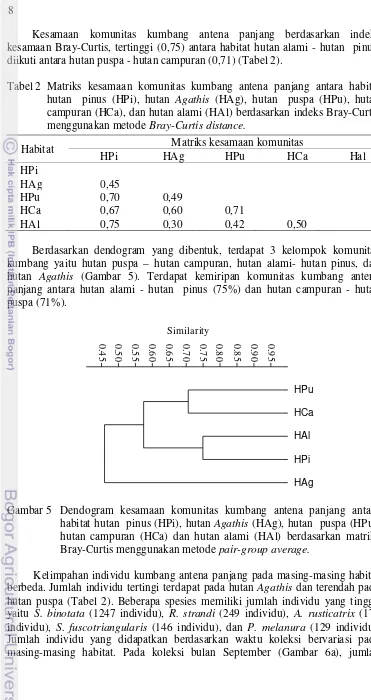 Tabel 2 Matriks kesamaan komunitas kumbang antena panjang antara habitat hutan  pinus (HPi), hutan Agathis (HAg), hutan  puspa (HPu), hutan campuran (HCa), dan hutan alami (HAl) berdasarkan indeks Bray-Curtis menggunakan metode Bray-Curtis distance