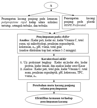Gambar 6. Diagram alir tahapan prosedur penelitian kacang panjang (lanjutan) 