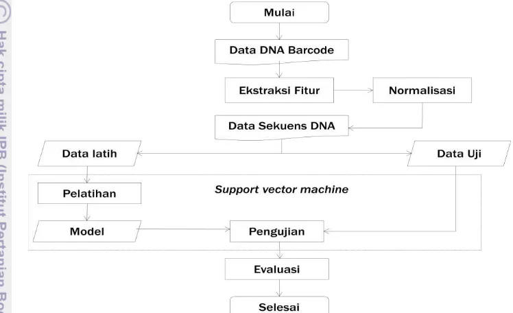 Tabel 1 Data Sekuens DNA barcode ikan tuna, tenggiri dan ikan lain 