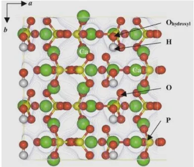 Gambar 2.2 Struktur  kristal Hidroksiapatit  (Leeuw, 2001). 