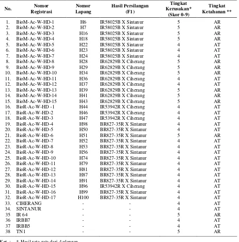 Tabel 3. Reaksi galur haploid ganda DH2 hasil kultur antera terhadap patogen HDB strain VIII 