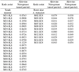 Tabel 9. Aktivitas Nitrogenase Rhizobia dari tanah mineral dan bintil akar A. mangium 