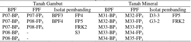 Tabel 14. Isolat Mikrob Pelarut Fosfat yang akan Diuji pada A. mangium dan A. crassicarpa (RAPP-Riau) 
