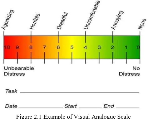 Figure 2.1 Example of Visual Analogue Scale 
