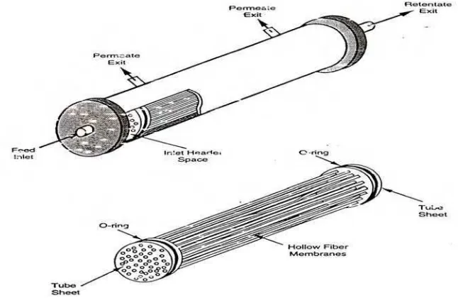 Gambar 4. Modul membran hollow fiber (Zeman, 1996) 