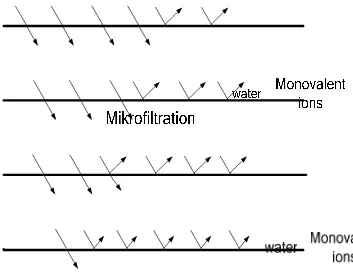 Gambar 7. karakteristik proses membran (www.kochmembran.com) 