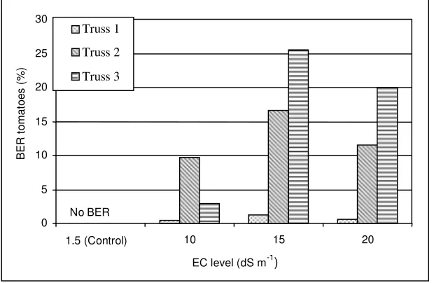 Figure 6.  Effect of DSW application to the nutrient solution on the yield per bed 
