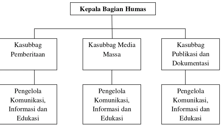 Gambar 3.4 Struktur Organisasi Humas Badan POM 