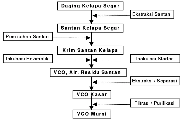 Gambar 11.  Proses produksi VCO cara enzimatik 