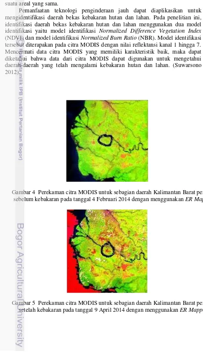 Gambar 4  Perekaman citra MODIS untuk sebagian daerah Kalimantan Barat periode 