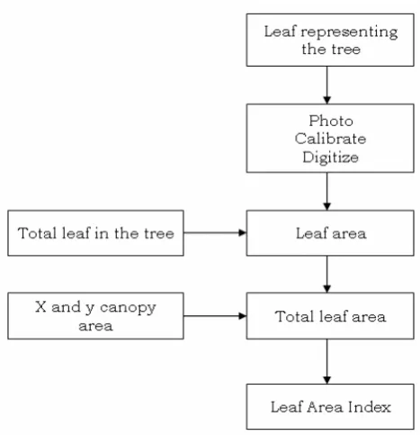 Figure 3.5 General flow of LAI field measurement. 