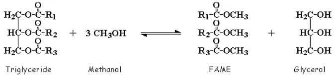 Gambar 2. Persamaan reaksi metanolisis (Darnoko, 2004) 