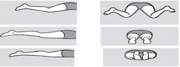 Gambar 2. Teknik Gerakan kaki renang gaya dada 