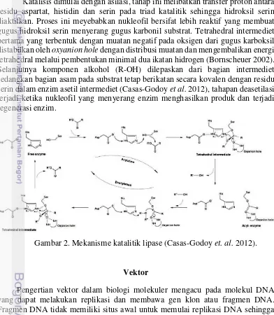 Gambar 2. Mekanisme katalitik lipase (Casas-Godoy et. al. 2012). 