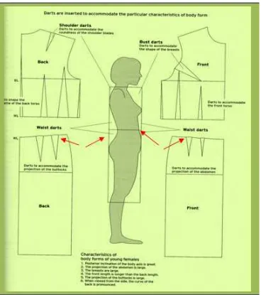 Gambar 3.12 Pengakomodasian Kupnat Pada Tubuh dan Pola Badan bawahSumber: Fundamentals Of Garment Design