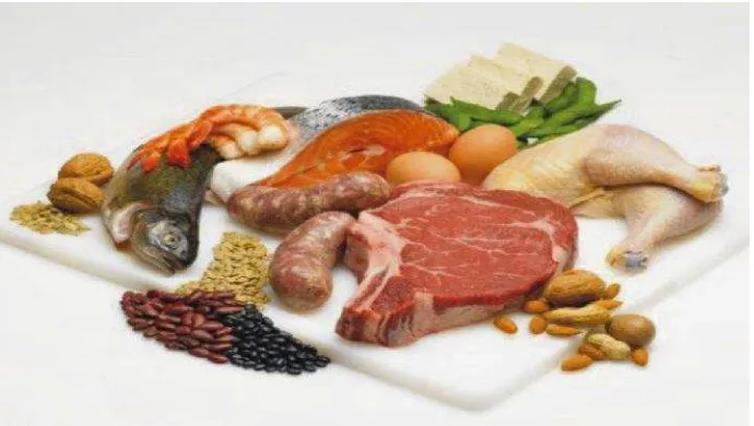 Gambar 2.Makanan Sumber protein.(Sumber: nuhealsci, 2016)