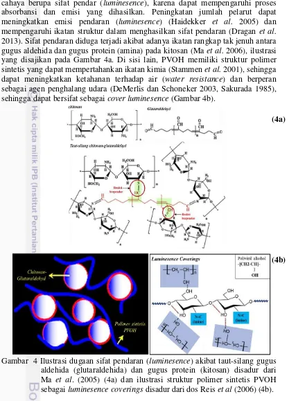 Gambar  4 Ilustrasi dugaan sifat pendaran (luminesence) akibat taut-silang gugus   