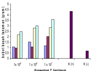 Gambar 6 Bobot basah tanaman tomat pada  tiap perlakuan. Formula A (=), formula B (=), 50% NPK + 50% formula A (=), 50%NPK + 50% formula B (=)